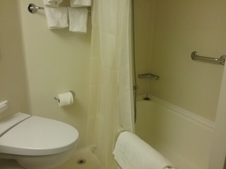 Bath tub is very small but it makes for a nice large shower.