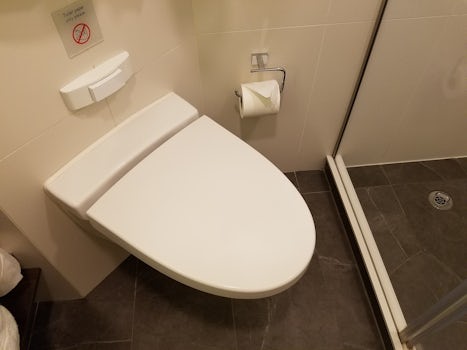 Ridiculously small toilet in Verandah stateroom bathroom, jammed in next to