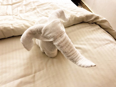 Towel elephant. Lovely little touches our room stewards added to our room each day.