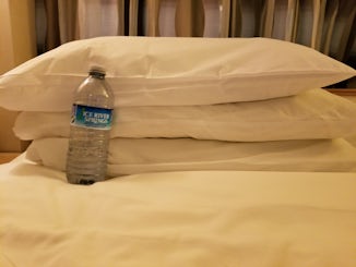 Super thin pillows, we asked for extra pillows, this is a regular sized wat