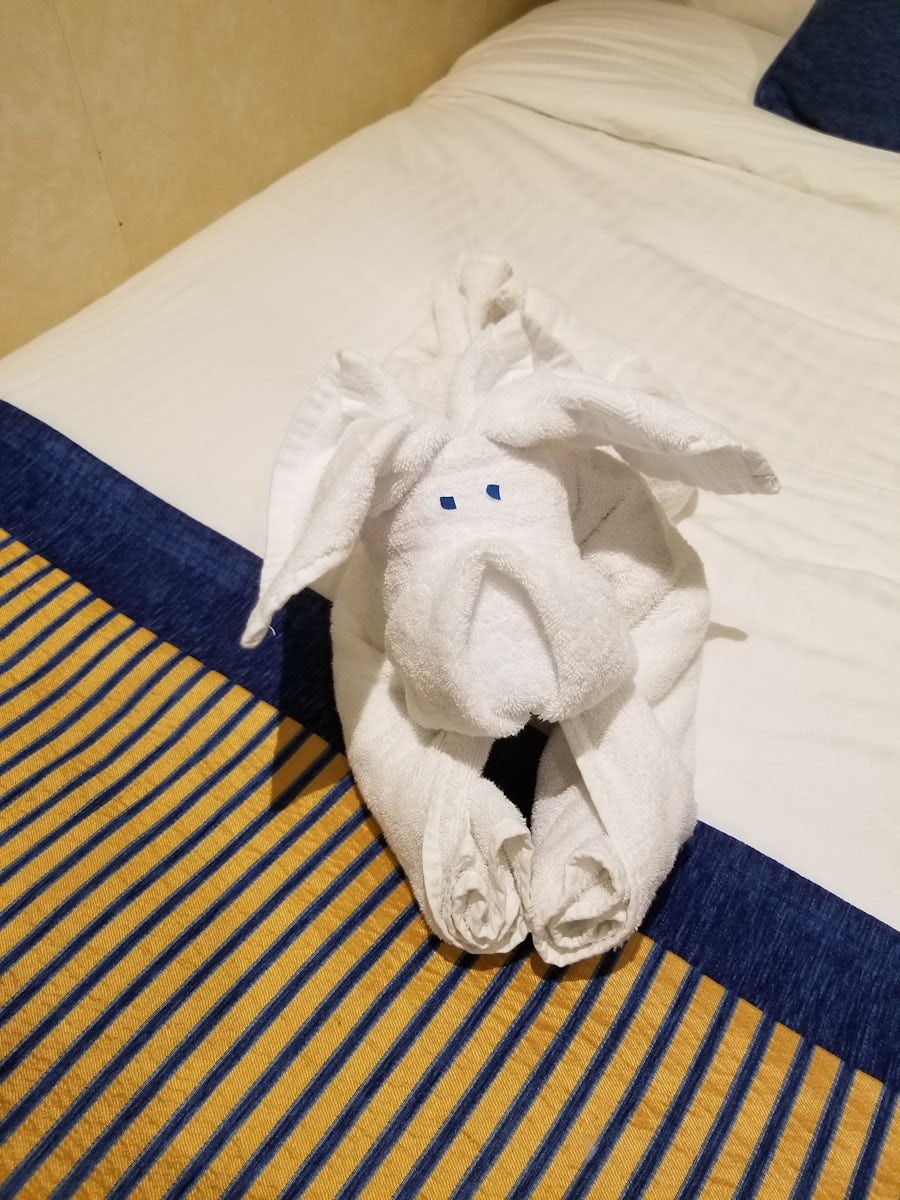 Towel animal left by Ahmed!