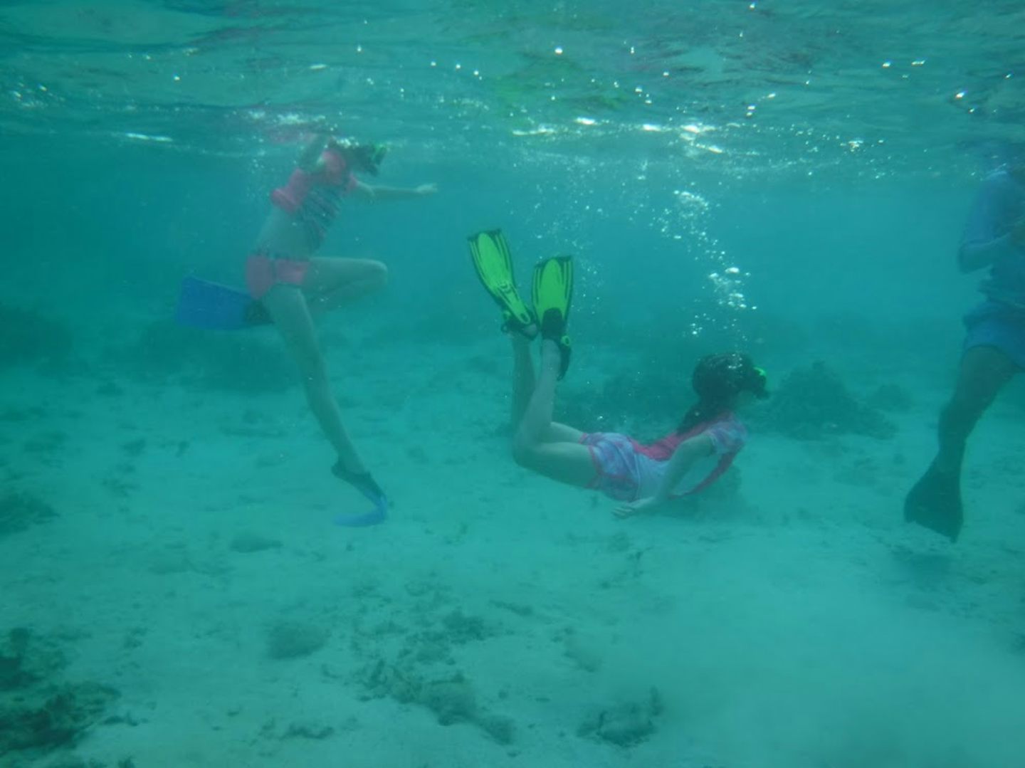 Snorkeling at Roatan with Roatan Ocean Adventures.  Cant say enough about H