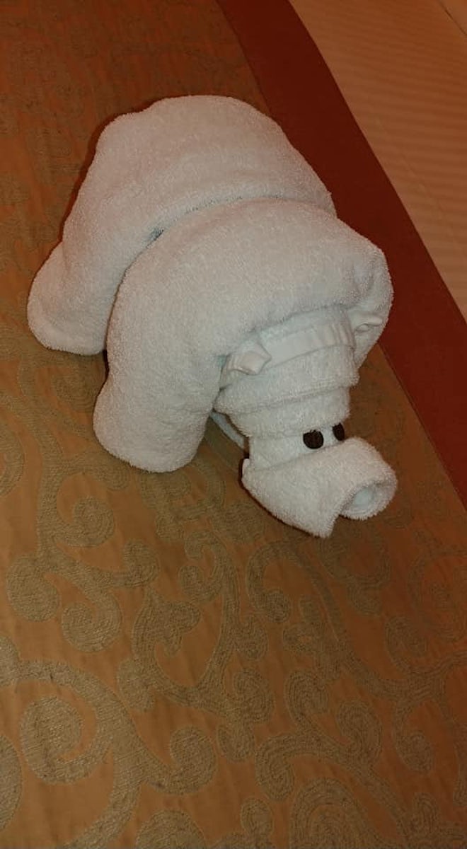Towel Rhino