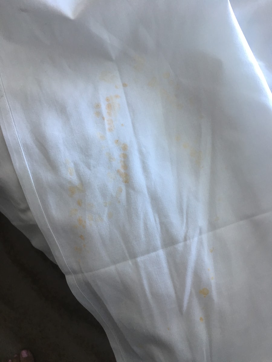 nasty stained sheets