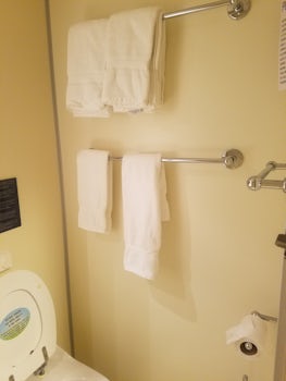 First cruise where I had to hunt down our room attendant to clean our rooms. Even with that, we never had the proper amount of towels and washcloths. There was 3 of us and this is what we got.