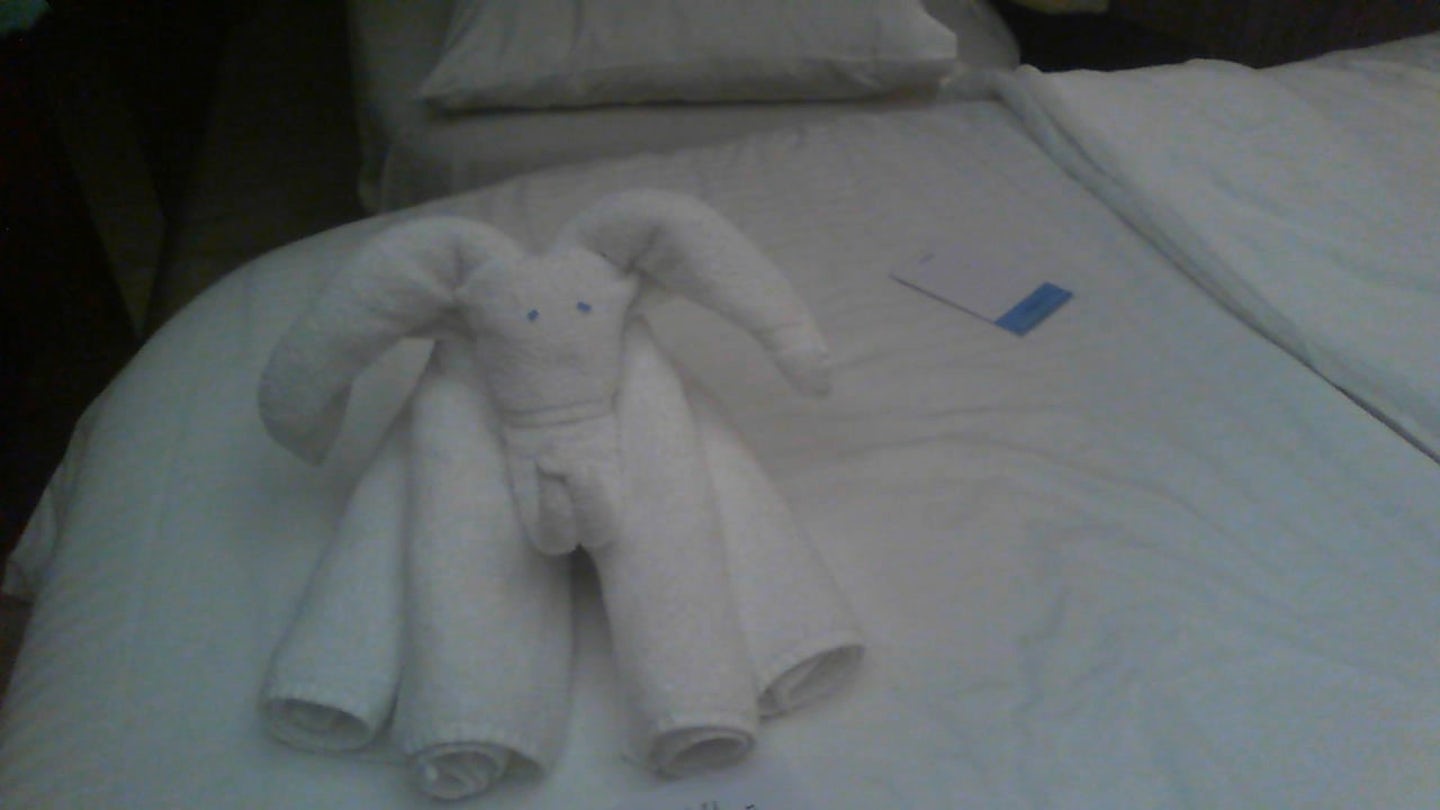 The room service was excellent, and the towels that were left were cute.