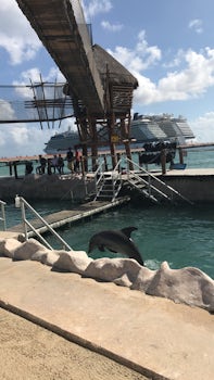 Us in Mexico seeing dolphins