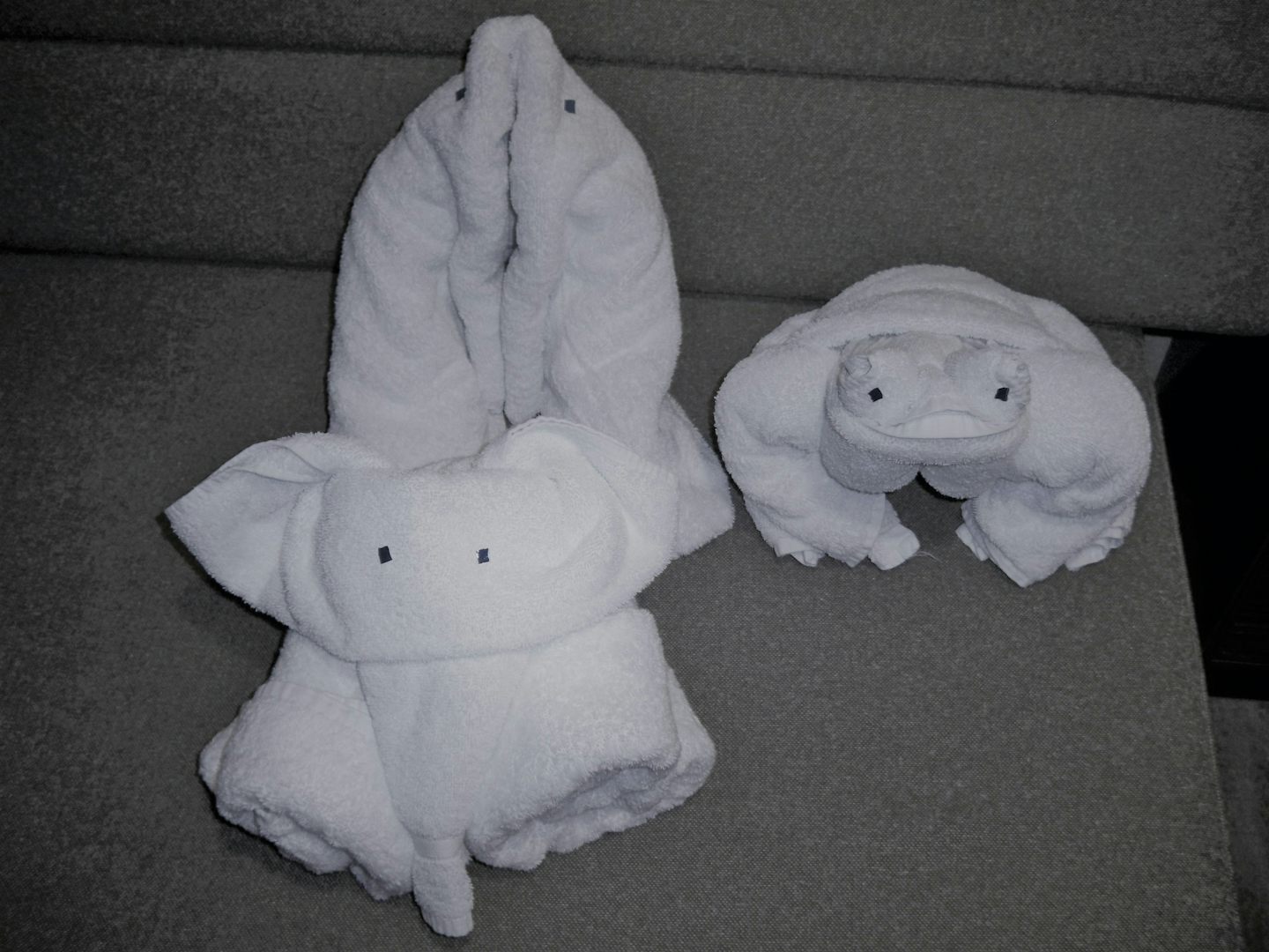 Towel animals made.