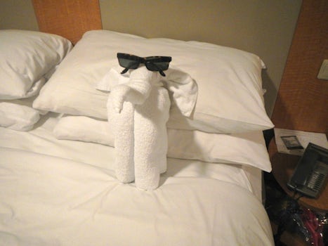 one of the many "creatures" made out of towels and my sunglasses th