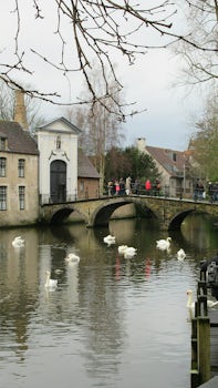 The Largo Minnewater has a large population of swans, in accordance with a decree by Maximillian of Austria. The canalised lake is used to keep the canals at a constant level.
