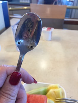 This is the dirty cutlery which we often had and eventually I took this to