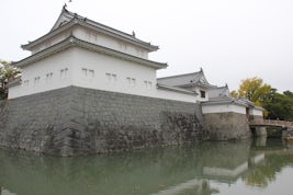 Shimizu Shogun's palace