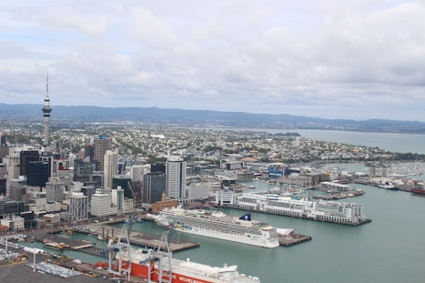 Auckland from the air. Helicopter tour was a great way to see the city and