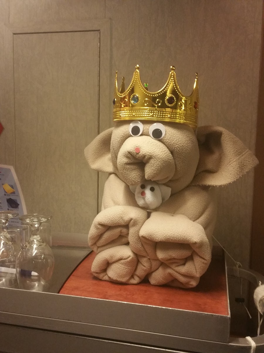 The king..towel animal on a cart..so cute had to get a pic