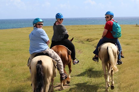 St Lucia, 3 hour horseback ride via Atlantic Stables