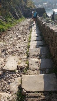 Steps up the mountain to the old fort and ramparts