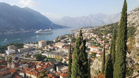 Halfway up to the fort in Kotor
