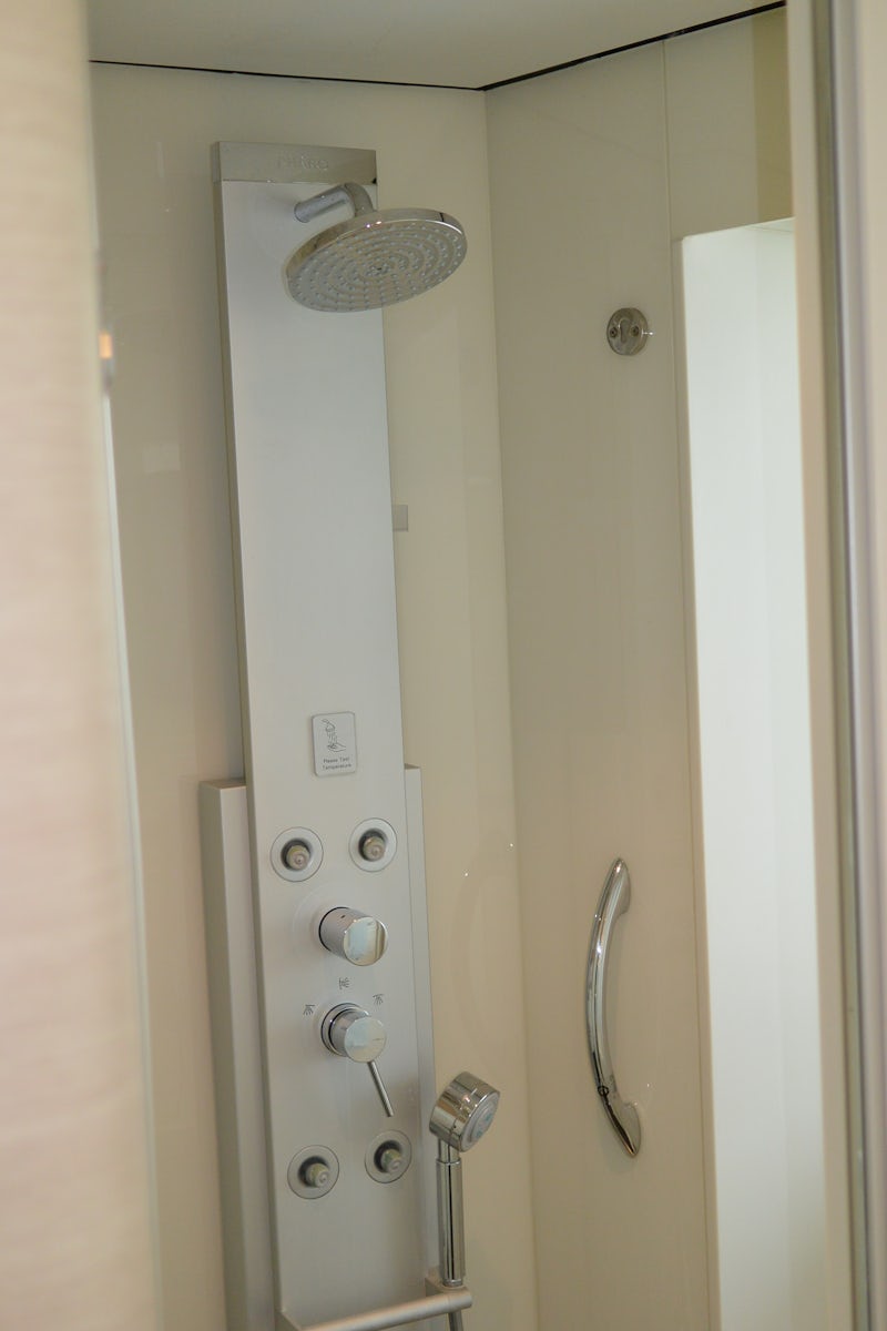Shower in Suite 10912