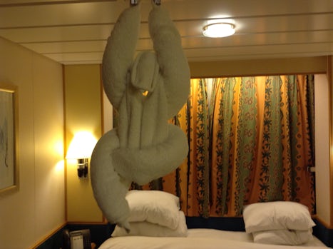 One Of out Towel animals