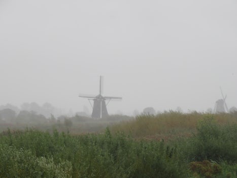 Our excursion to the Kinderdijk in the Netherlands. It was a rainy, cold da