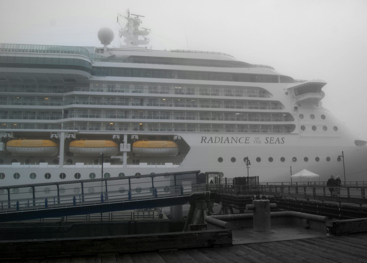 Radiance of the seas on a foggy morning in Juneau