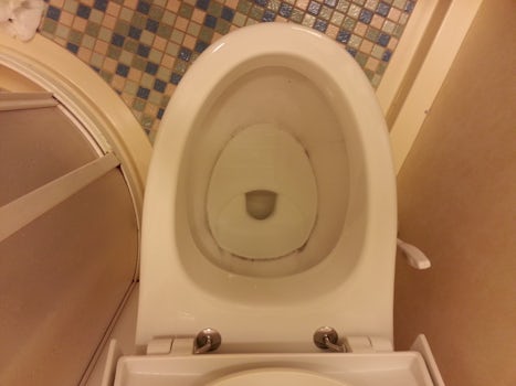 Filthy toilet