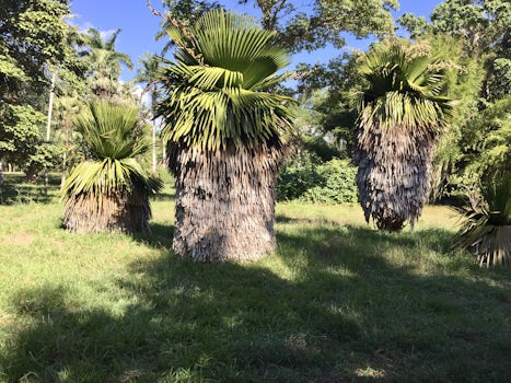 Cienfuegos Botanic Garden