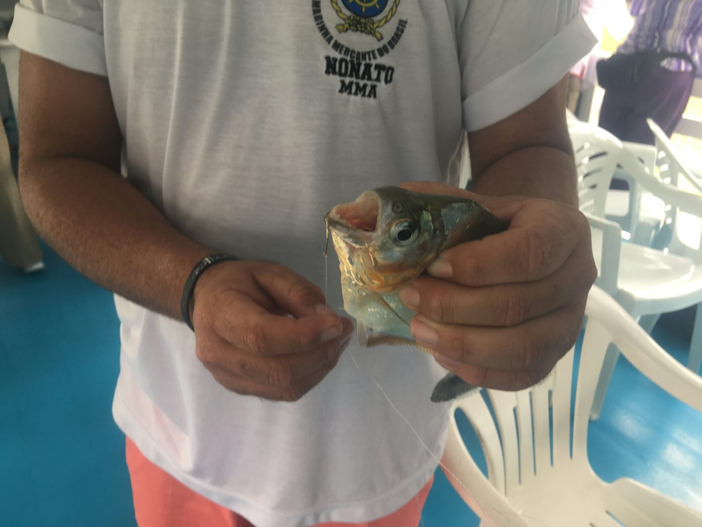 Piranha caught by another traveler. This was a good shore excursion. Excell