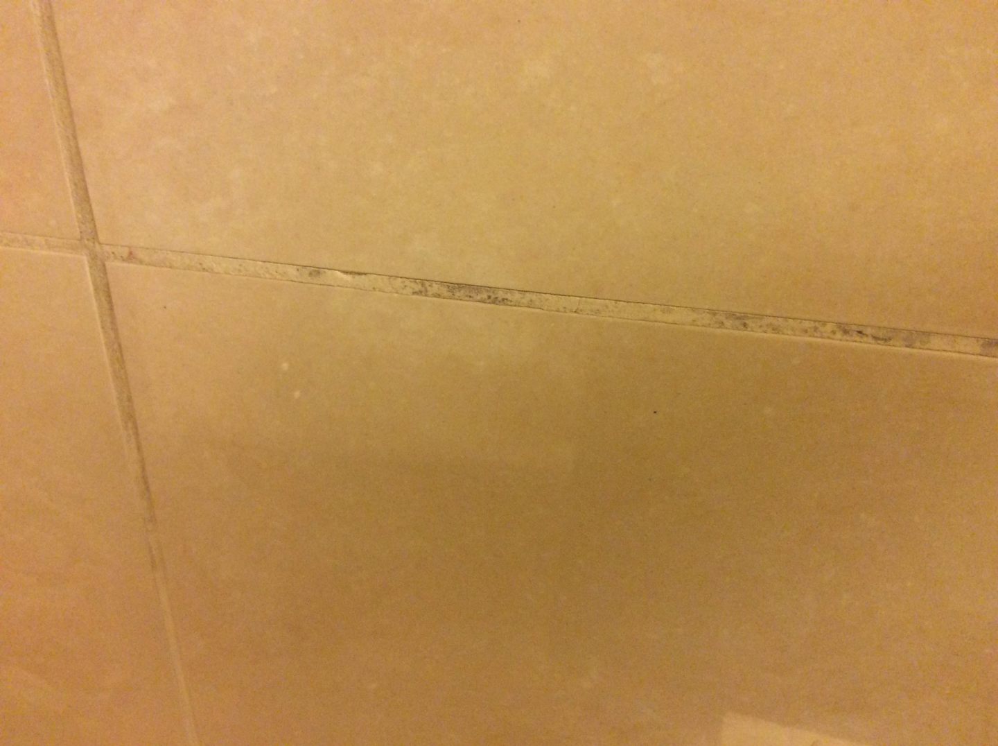 Mold still in shower after 15 days of cleaning