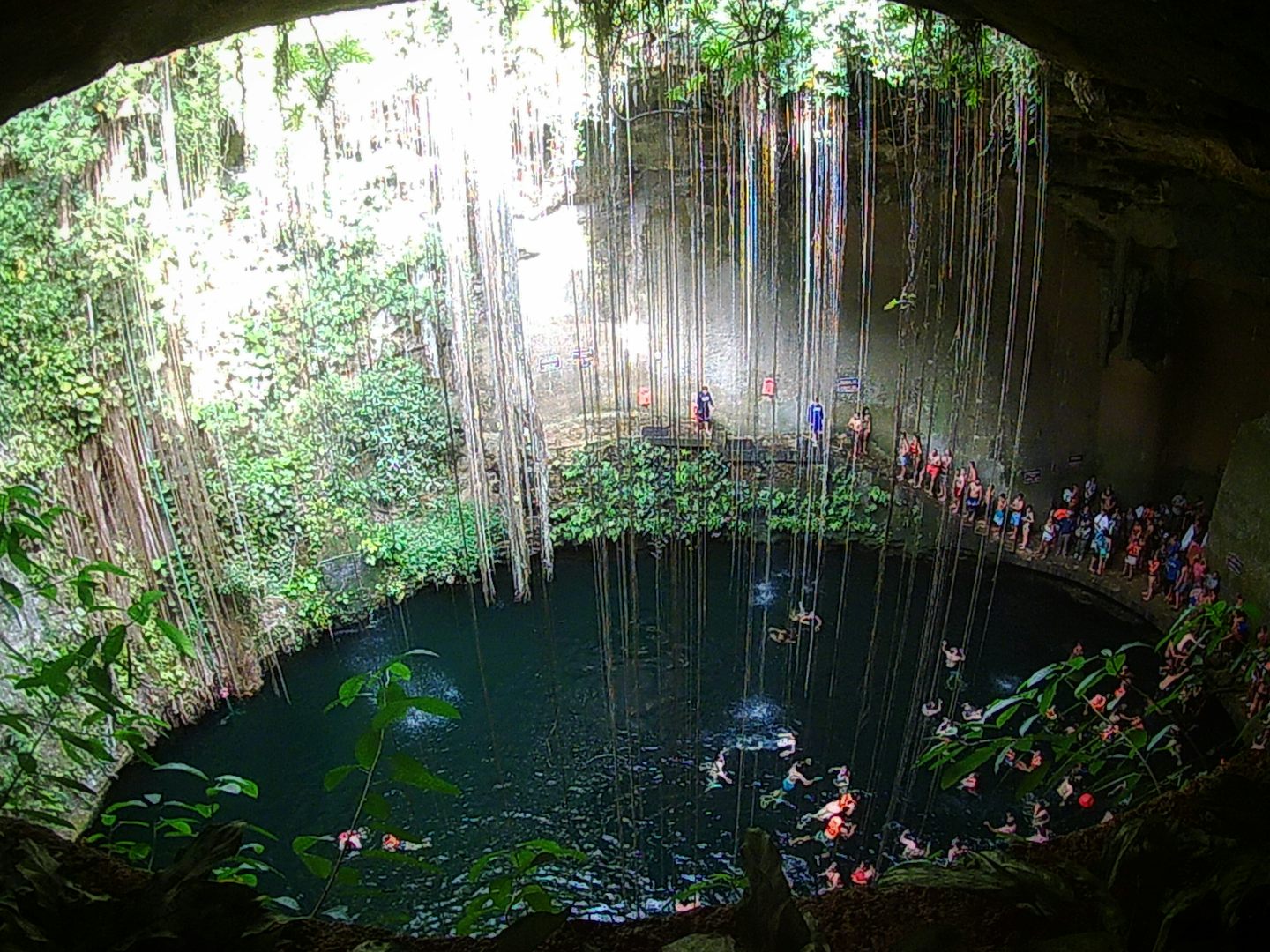 Cenote, part of the VIP Chichen Itza and cenote tour from Progresso