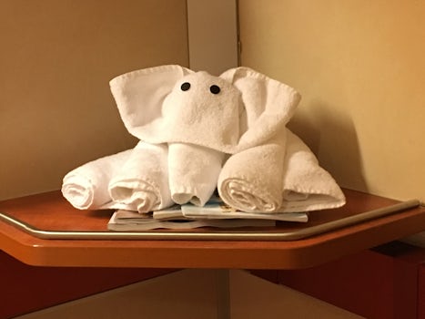 Elephant towel animal from our amazing cabin steward!