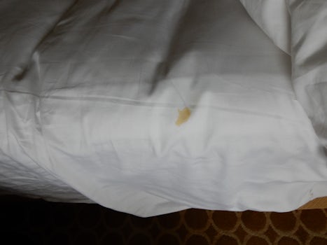 Not nice stains on clean? sheet