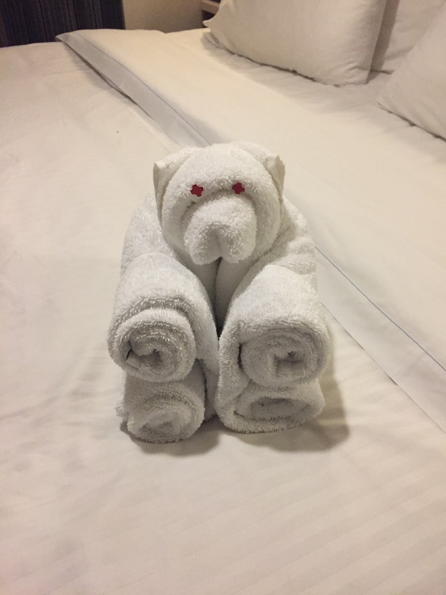 Towel animals