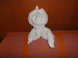 one of many towel animals made for us