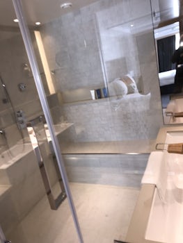 Huge shower with soaking tub. Tub has a TV to watch while relaxing