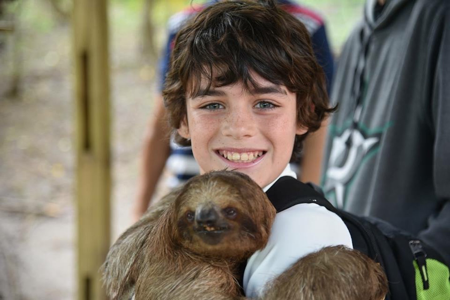 We all fell in love with the Sloths I’m Roatan