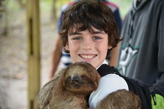 We all fell in love with the Sloths I’m Roatan