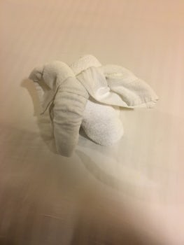 Elephant towel in our cabin