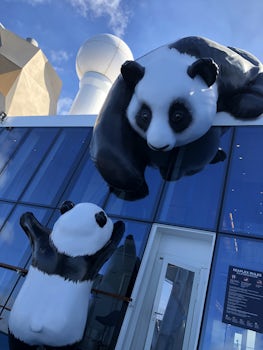 Panda mascots