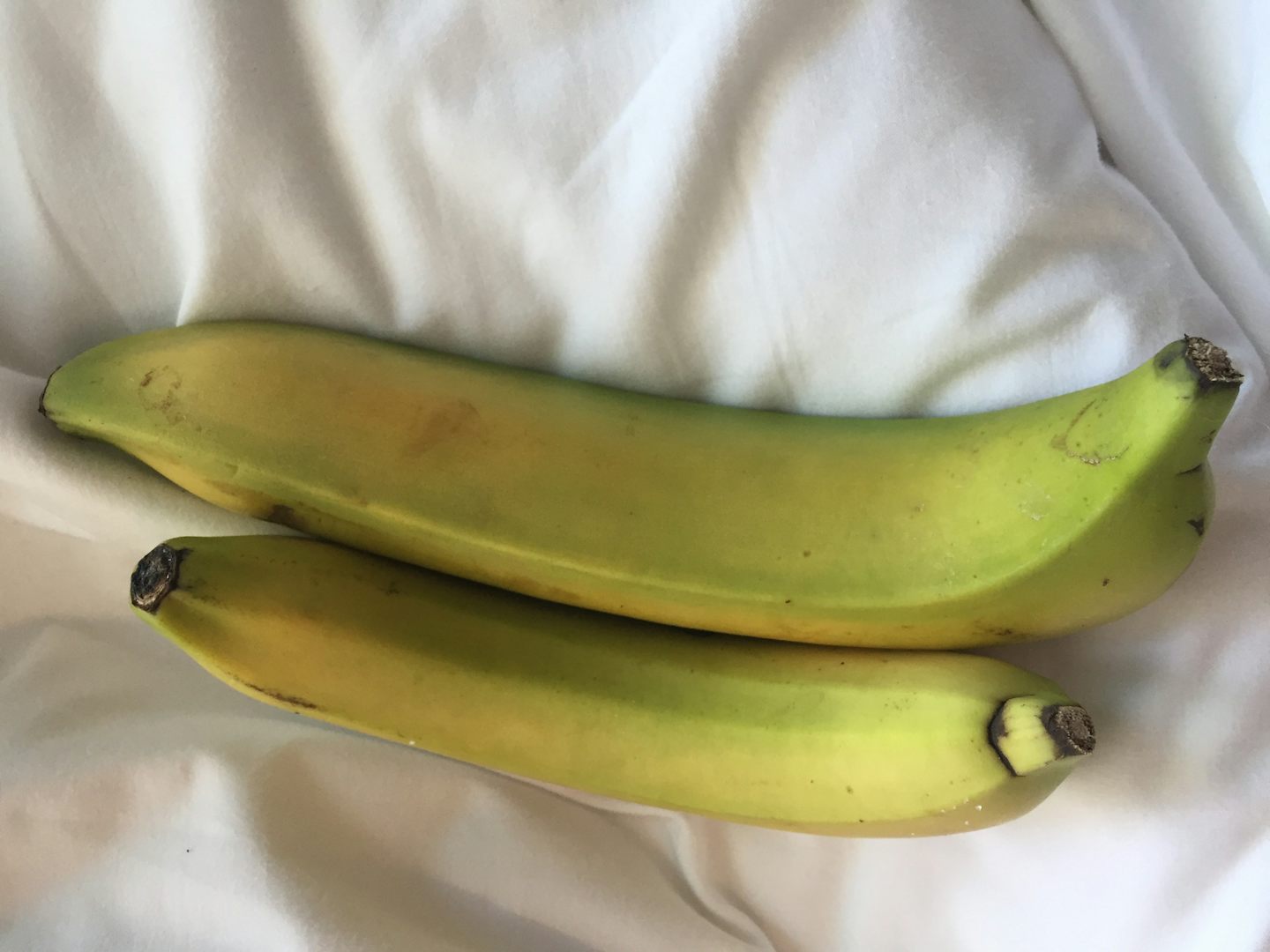 yummy green bananas