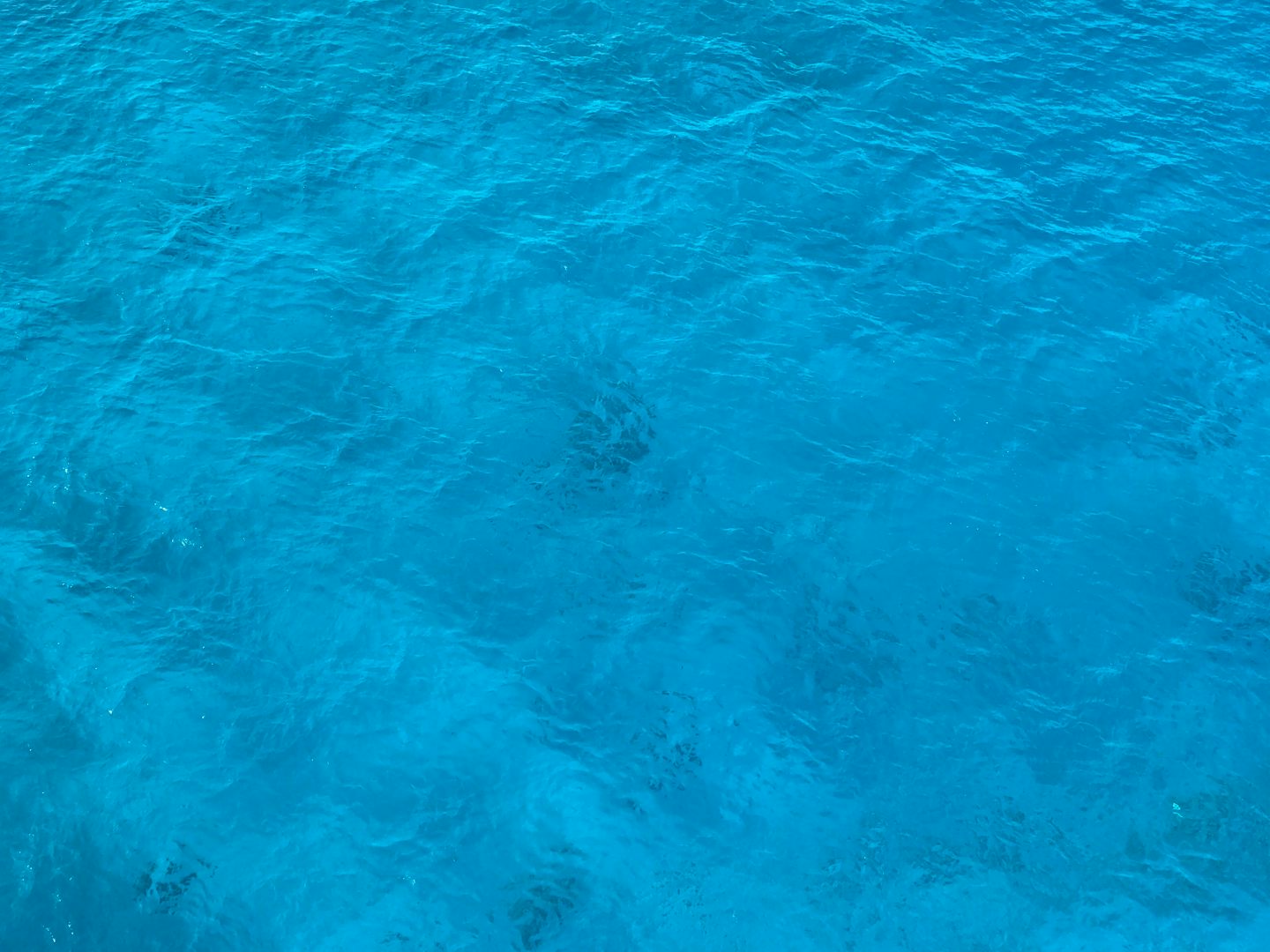 Color of the water in Cozumel.
