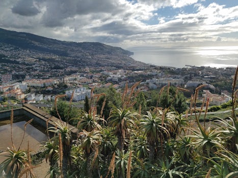 Funchal, recommend the Hop on, hop off tour.