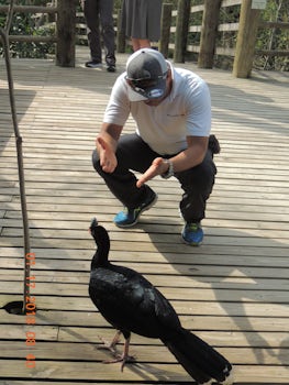 Daniel Grey interacting with one of many birds at the Aviario.