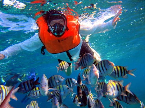 The three reef snorkel excursion at Cozumel.