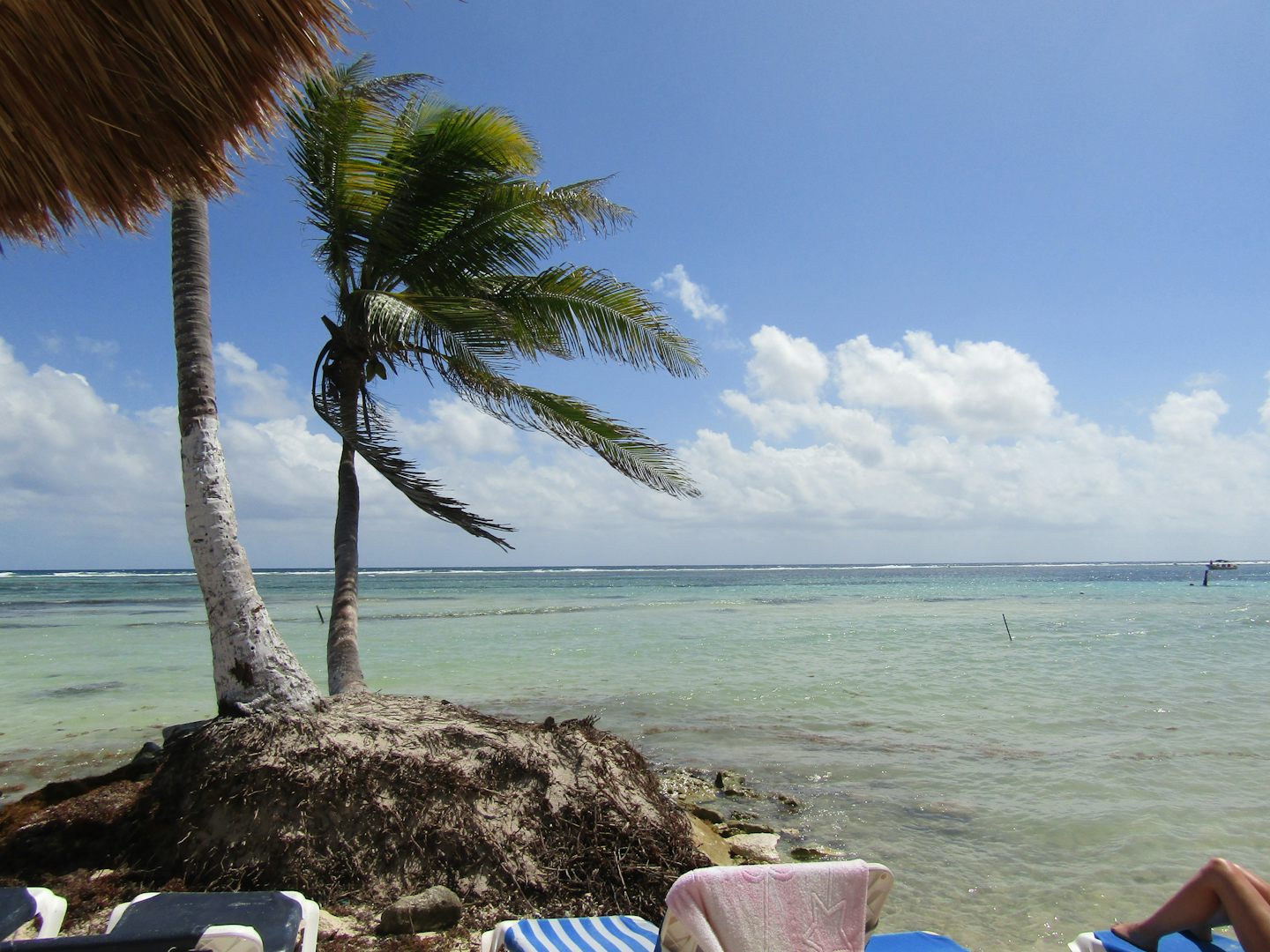 Beach at Costa Maya