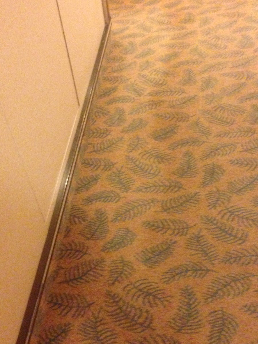 More dirty carpet in cabin hallway