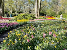 Keukenhof Gardens, Netherlands April 2022 optional part of post stay