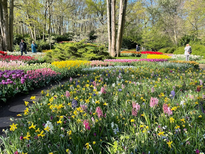 Keukenhof Gardens, Netherlands April 2022 optional part of post stay
