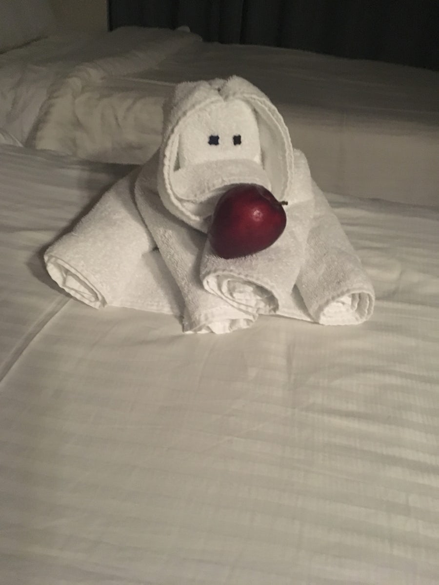 One of our lovely towel animals!