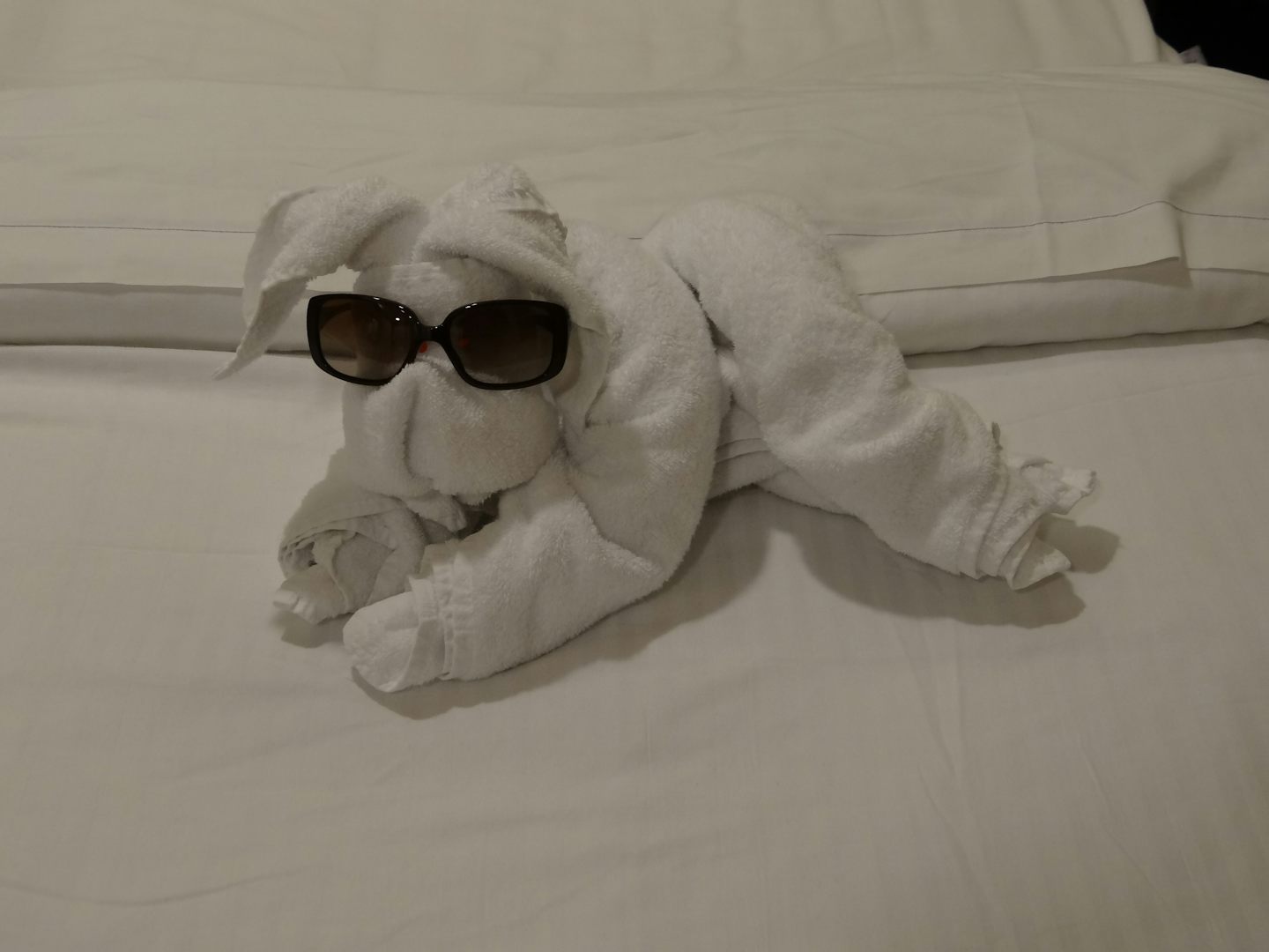 Towel animal in room everyday.